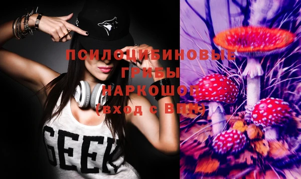 apvp Новозыбков