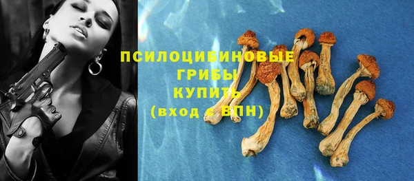 таблы Новокубанск