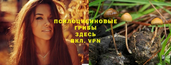 ECSTASY Абдулино