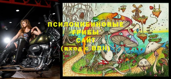 дурь Алексин
